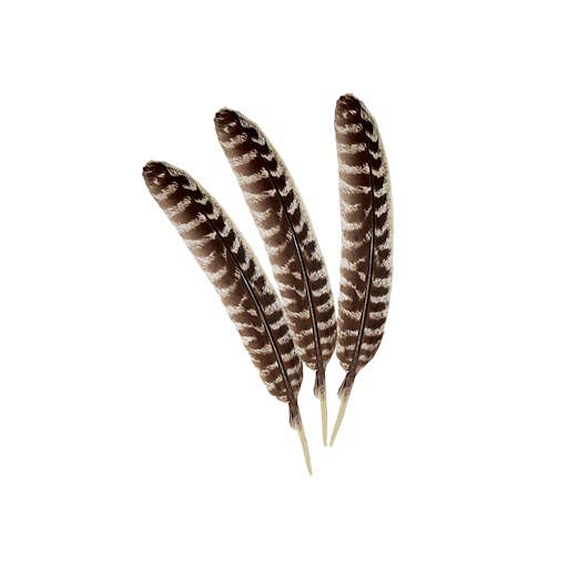 100% Real Turkey Smudge Feather