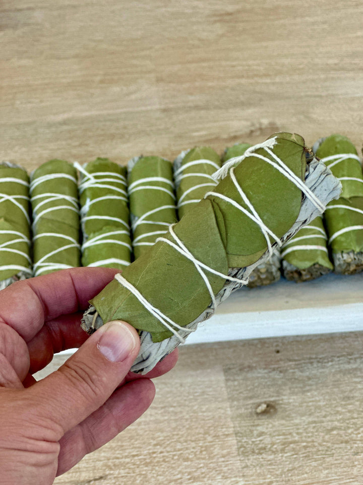 White Sage w/ Eucalyptus Smudge Stick