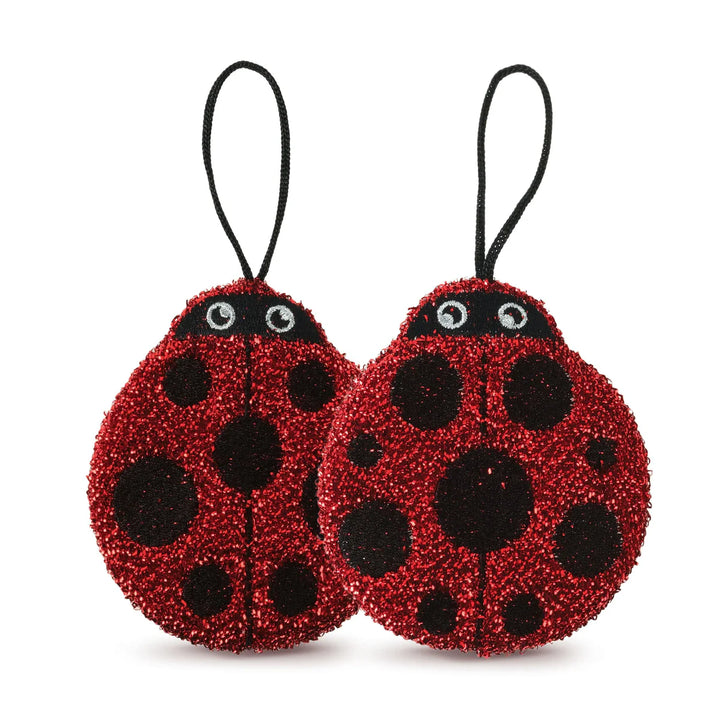 Cleaning Lady Sponge - 2 Pack