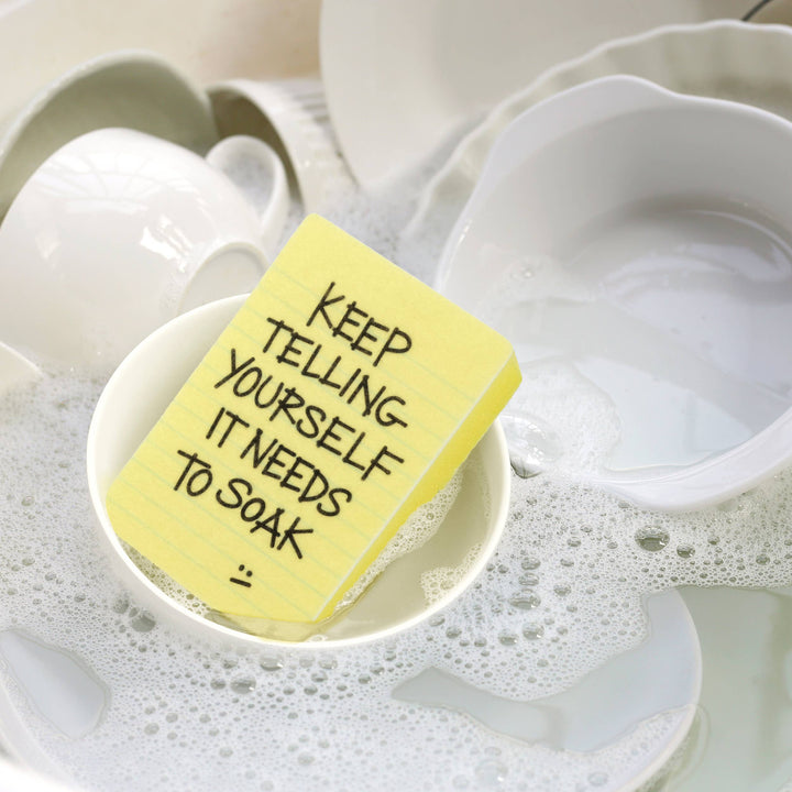 Clean Conscience Passive Aggressive Sponges - 2 Pack