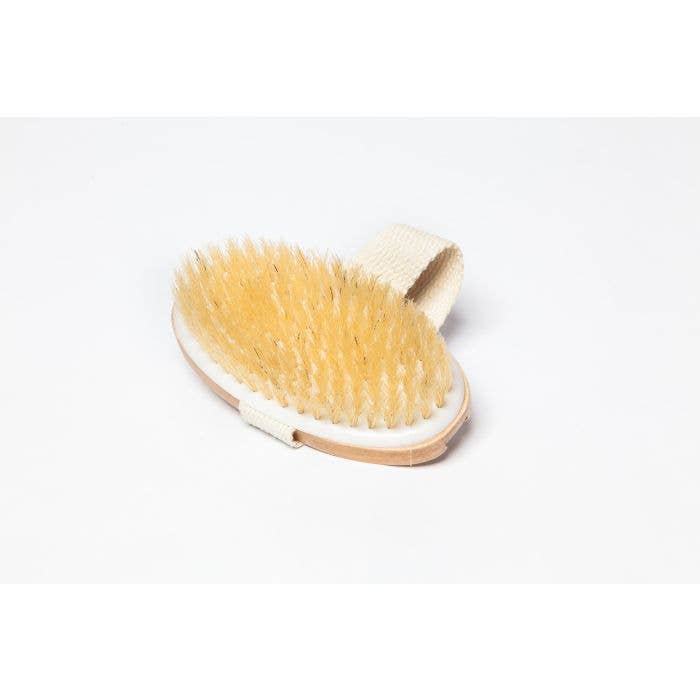 Palm Held Body Brush