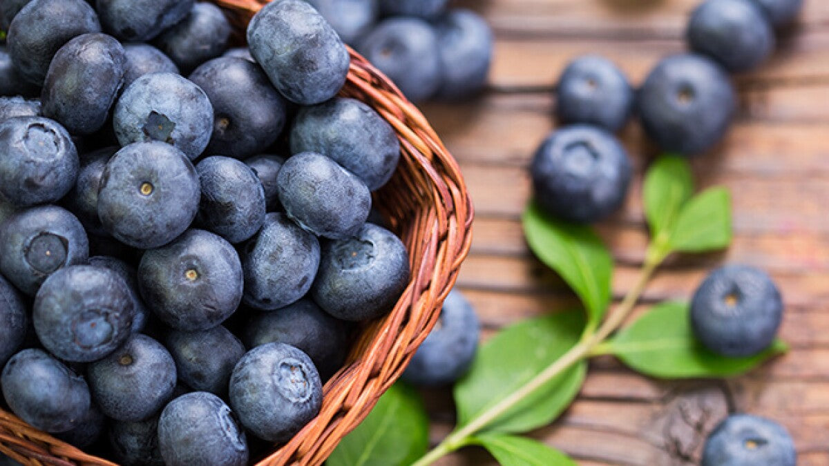 Blueberry Festival