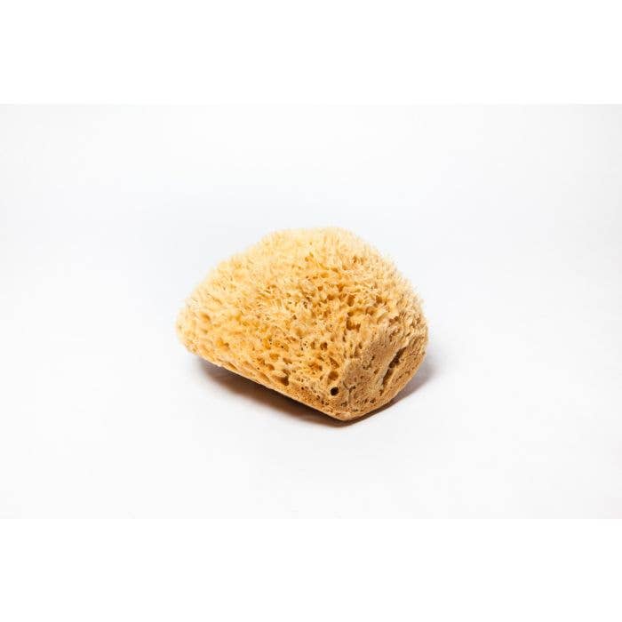 Sea Wool Sponge - Silky Soft