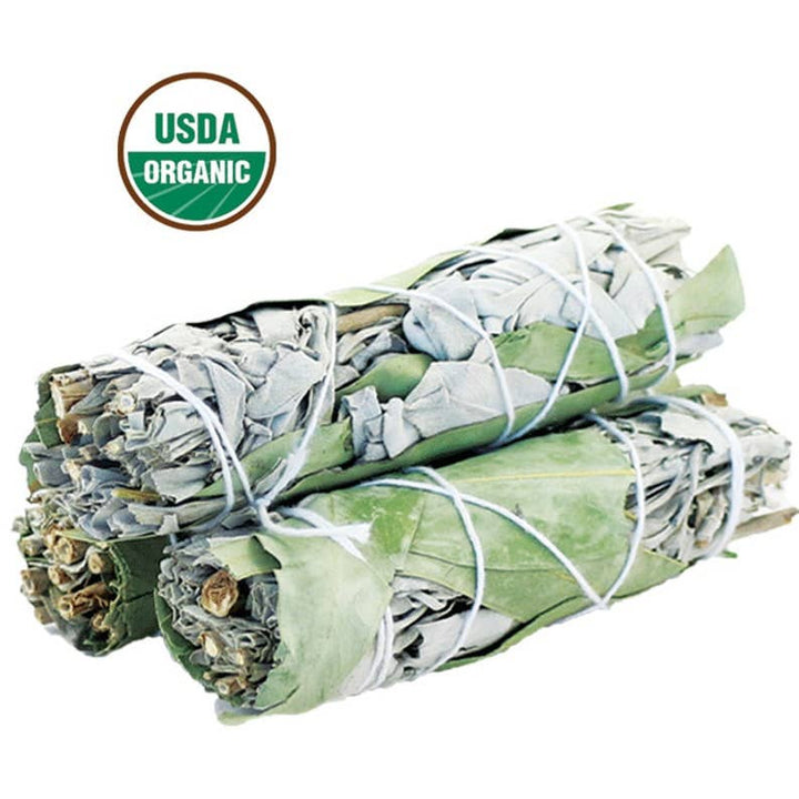 White Sage & Eucalyptus Smudge Stick