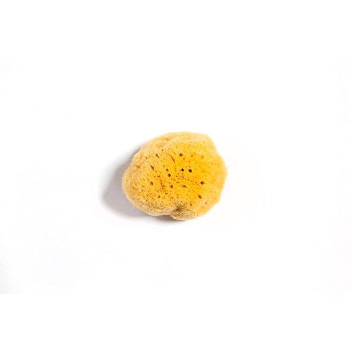 Caribbean Silk Facial Sponge