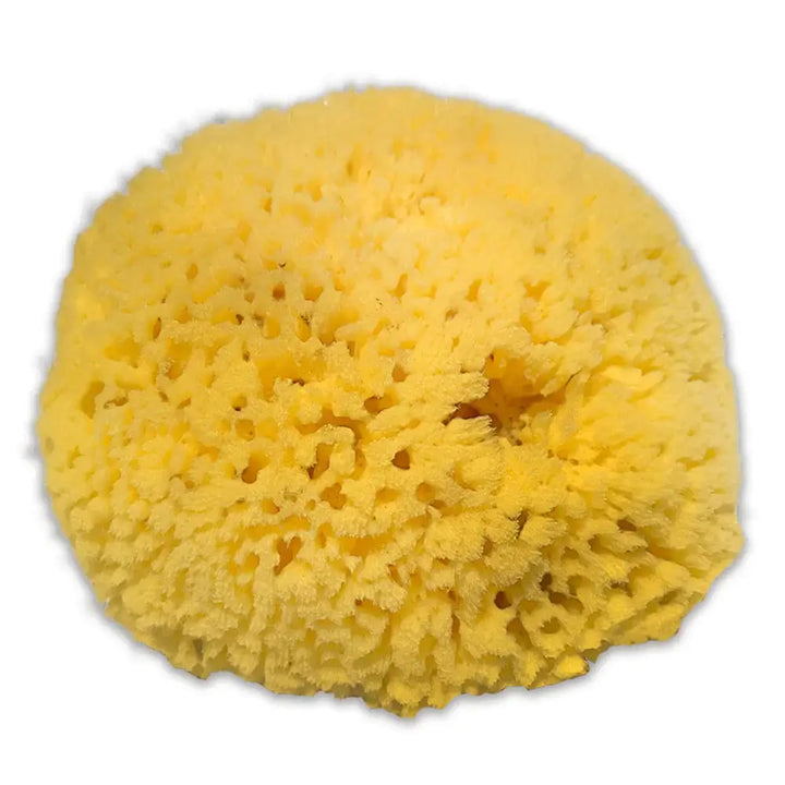 Yellow Sea Sponge - Mild Exfoliation