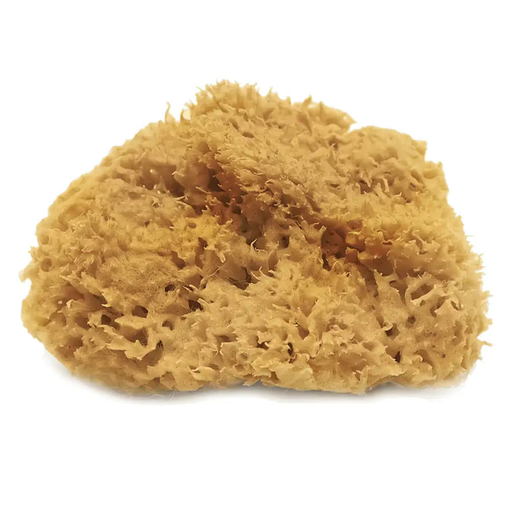 Sea Wool Sponge - Silky Soft