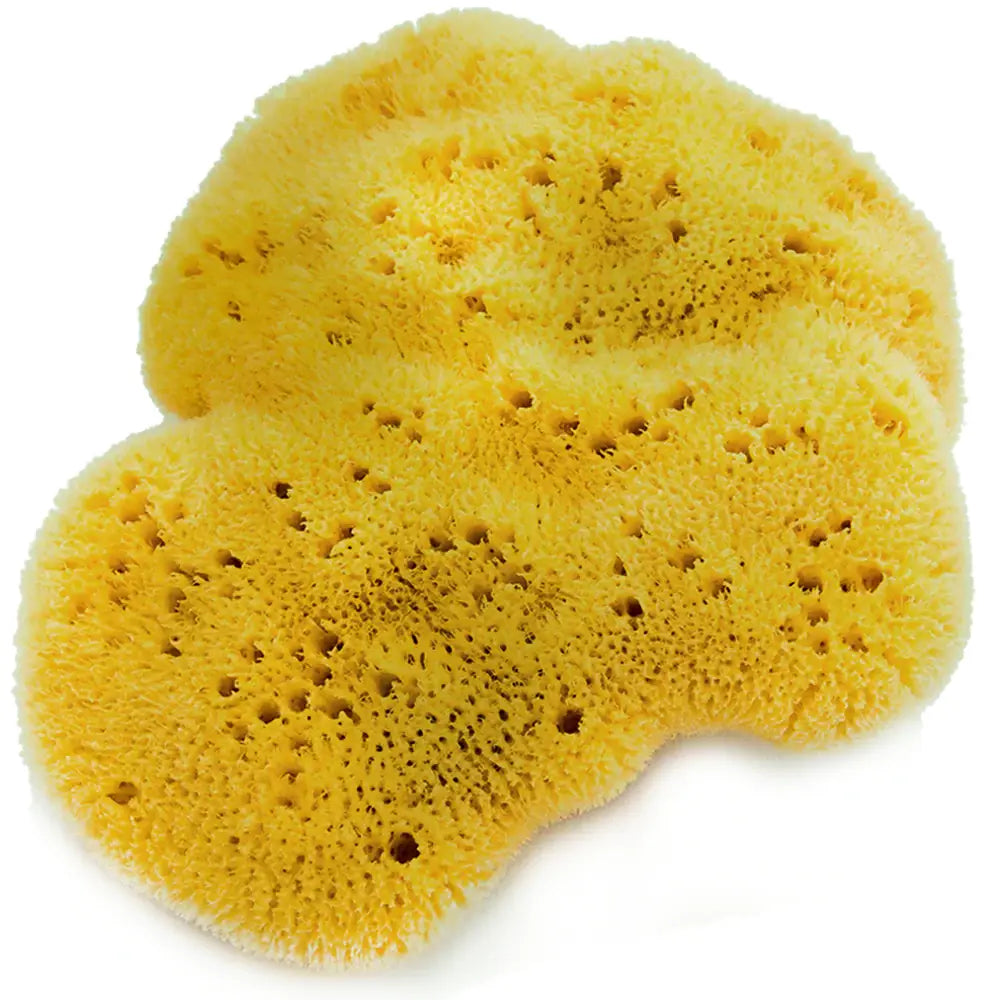 Sea Grass Sponge - Medium Exfoliation